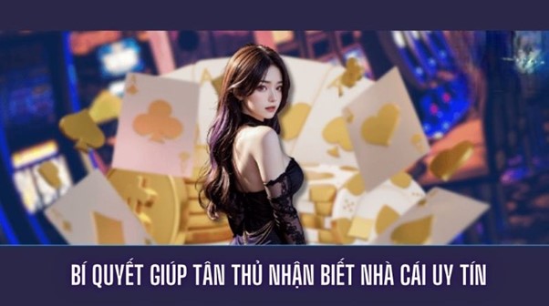 Một số bí quyết giúp tân thủ nhận biết một nhà cái cá cược uy tín