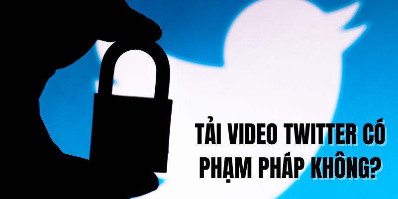 Tải video Twitter có phạm pháp không