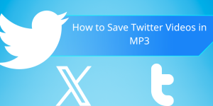 How to Save Twitter Videos in MP3 - SnapTwitter