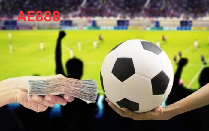 Ae888 cá cược thể thao