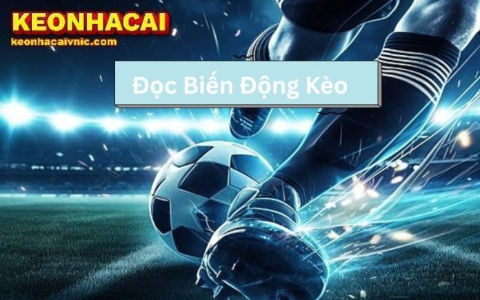 Đọc biến động kèo